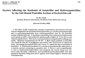 Pencillins by Cell bound Acylase cle Beecham